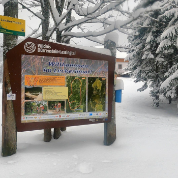 Neue Publikationen Januar und Februar 2023 Neue Publikationen Januar und Februar 2023