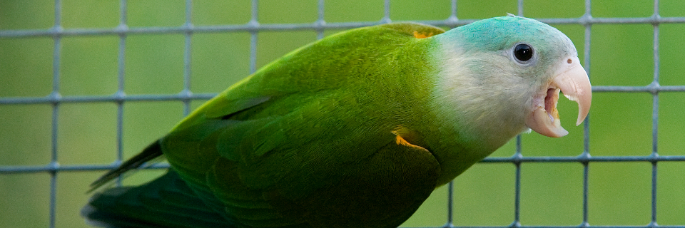 Vogelpark Turnersee Vogelpark Turnersee