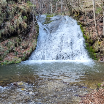 Wanderdorf Göstling. Foto: August Aust Wanderdorf Göstling. Foto: August Aust