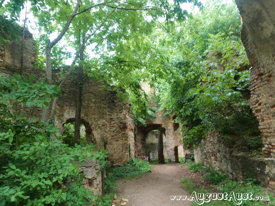 Burgruine Landsee. Foto: August Aust Burgruine Landsee. Foto: August Aust
