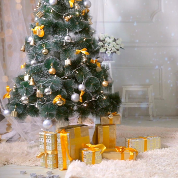 Weihnachtsvideo 2023 Weihnachtsvideo 2023