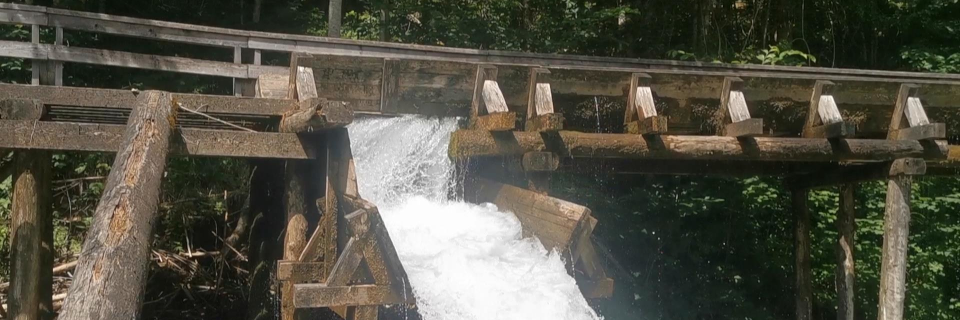 Erlebniswelt Mendlingtal, Foto: August Aust Erlebniswelt Mendlingtal, Foto: August Aust