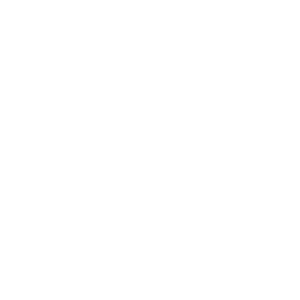 Logo Auto