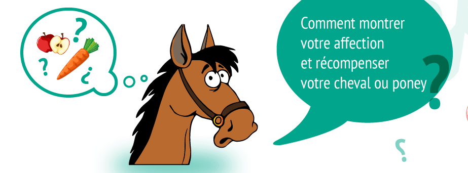 Ekilike générateur de bonheur pour les bien être du cheval ou du poney