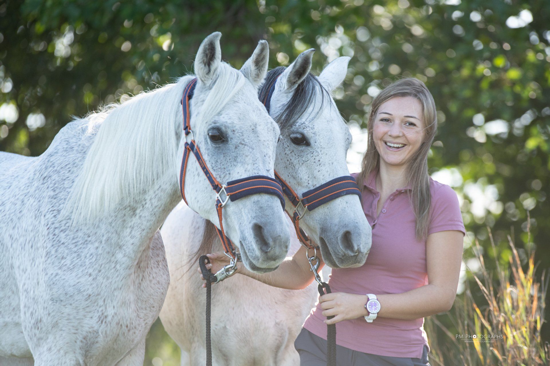 Unterwasserlaufband Tierphysiotherapie Tiertherapie Nadja Rügner Friedeburg Hunde Physio Blutegeltherapie Osteopathie Hundephysiotherapie Pferdephysiotherapie Pferdeosteopathie Hundeosteopathie