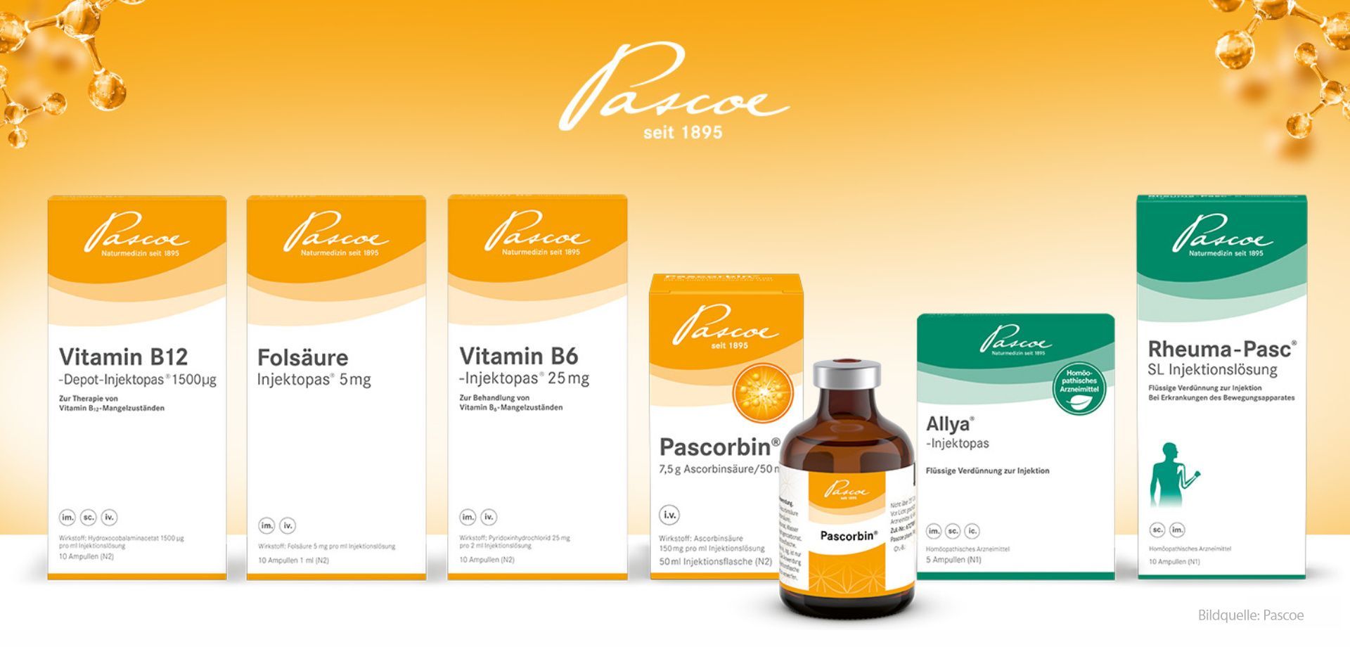 Pascoe Pascorbin Sortiment Vitamin  C B12 B6 B8 Folsäure Allya Rheuma Pasc Injektion