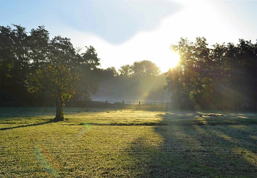 Landhotel Linden am Venekotensee