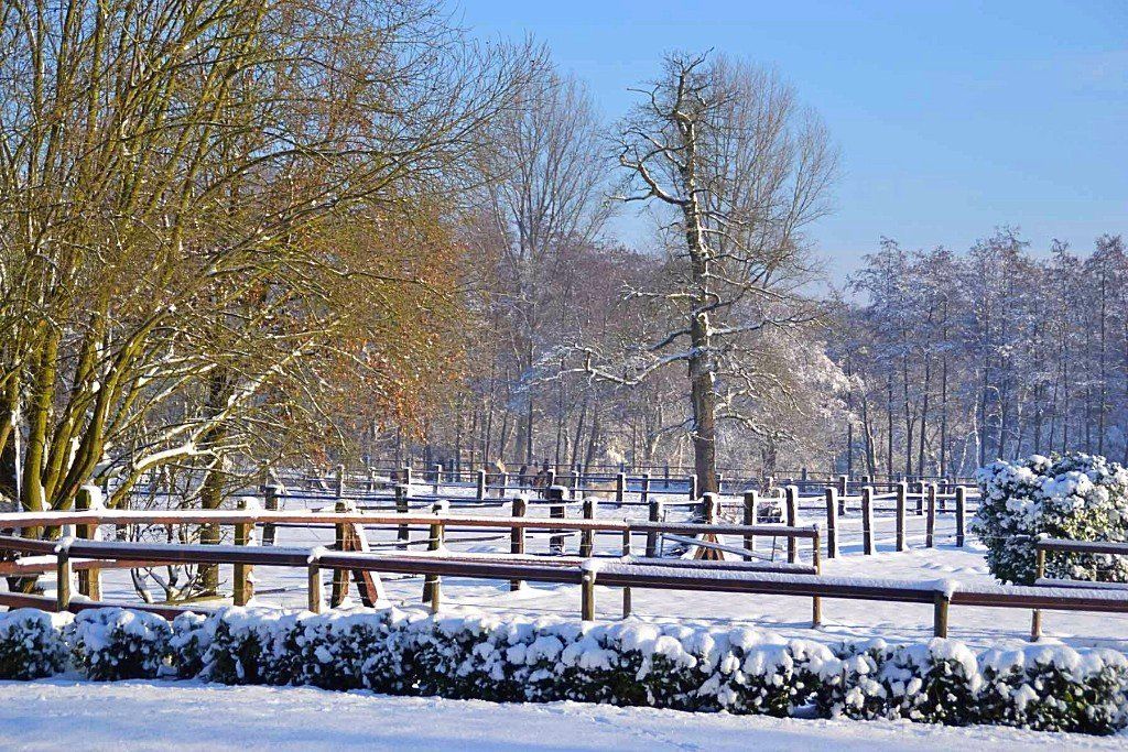 Winter am Venekotensee