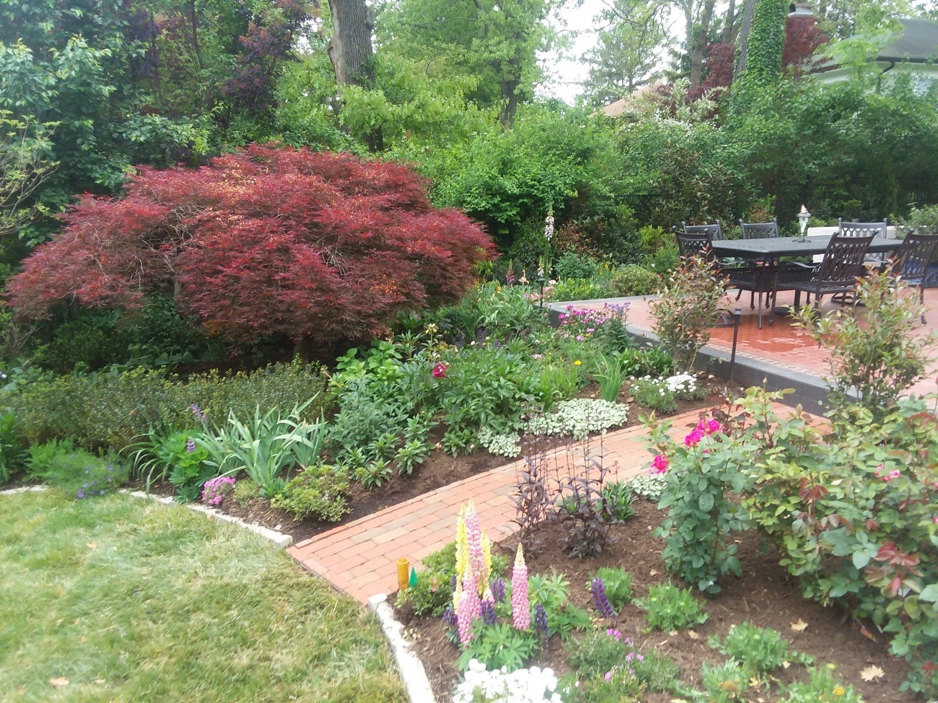 Professional Landscaping Contractors, Landscape Services Asheville