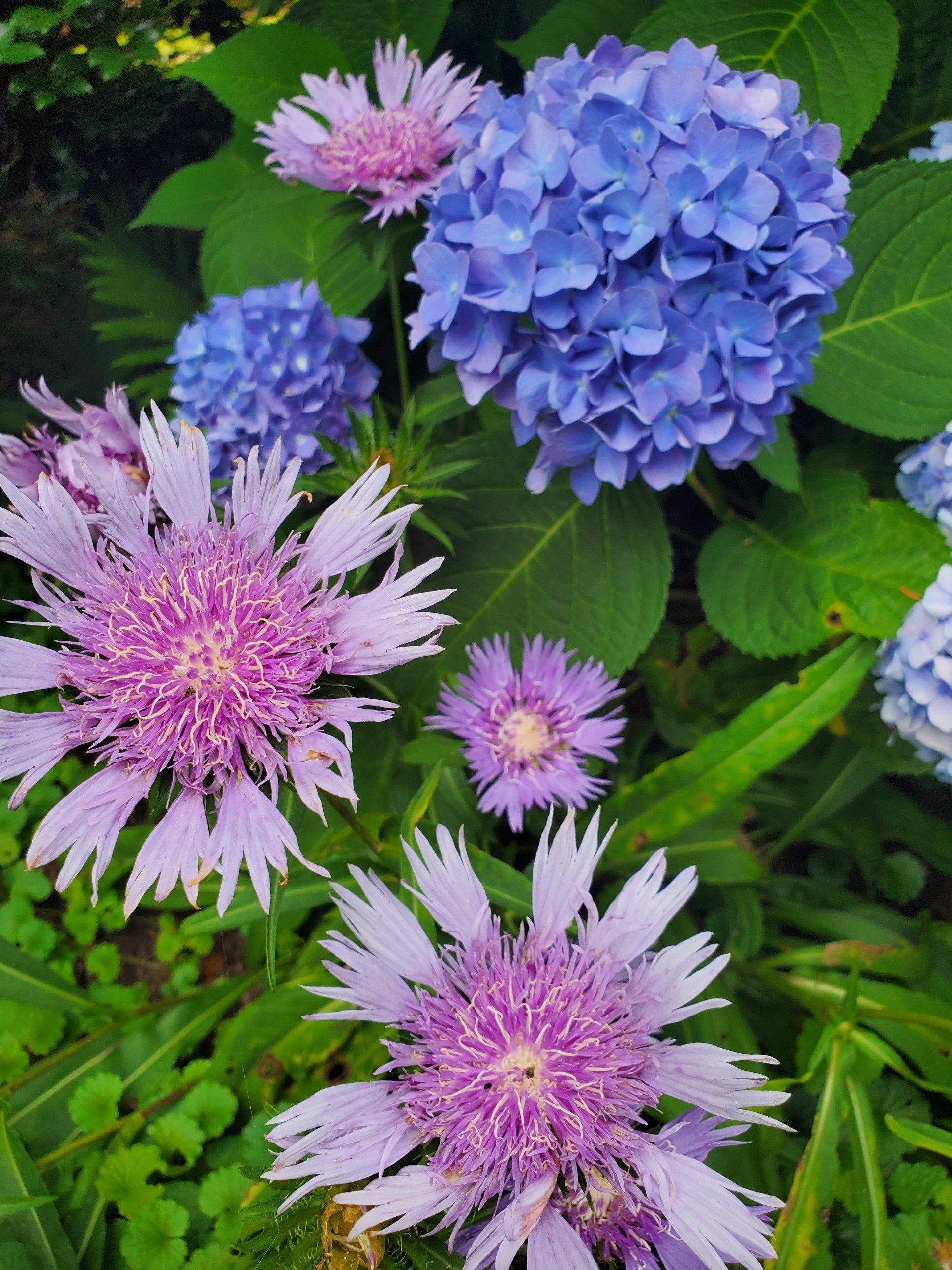 Professional Landscaping Contractors, Landscape Services Asheville