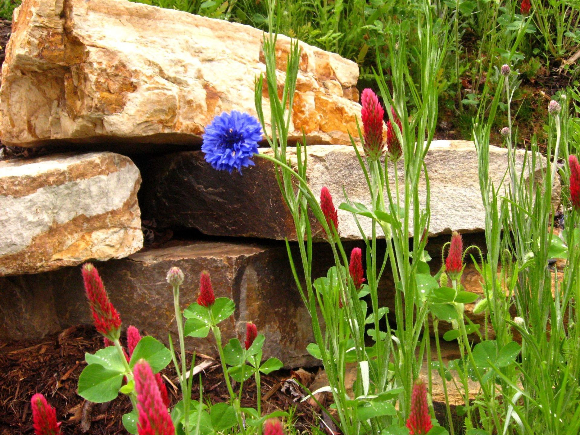 Landscaping contractors, Landscape services, Asheville