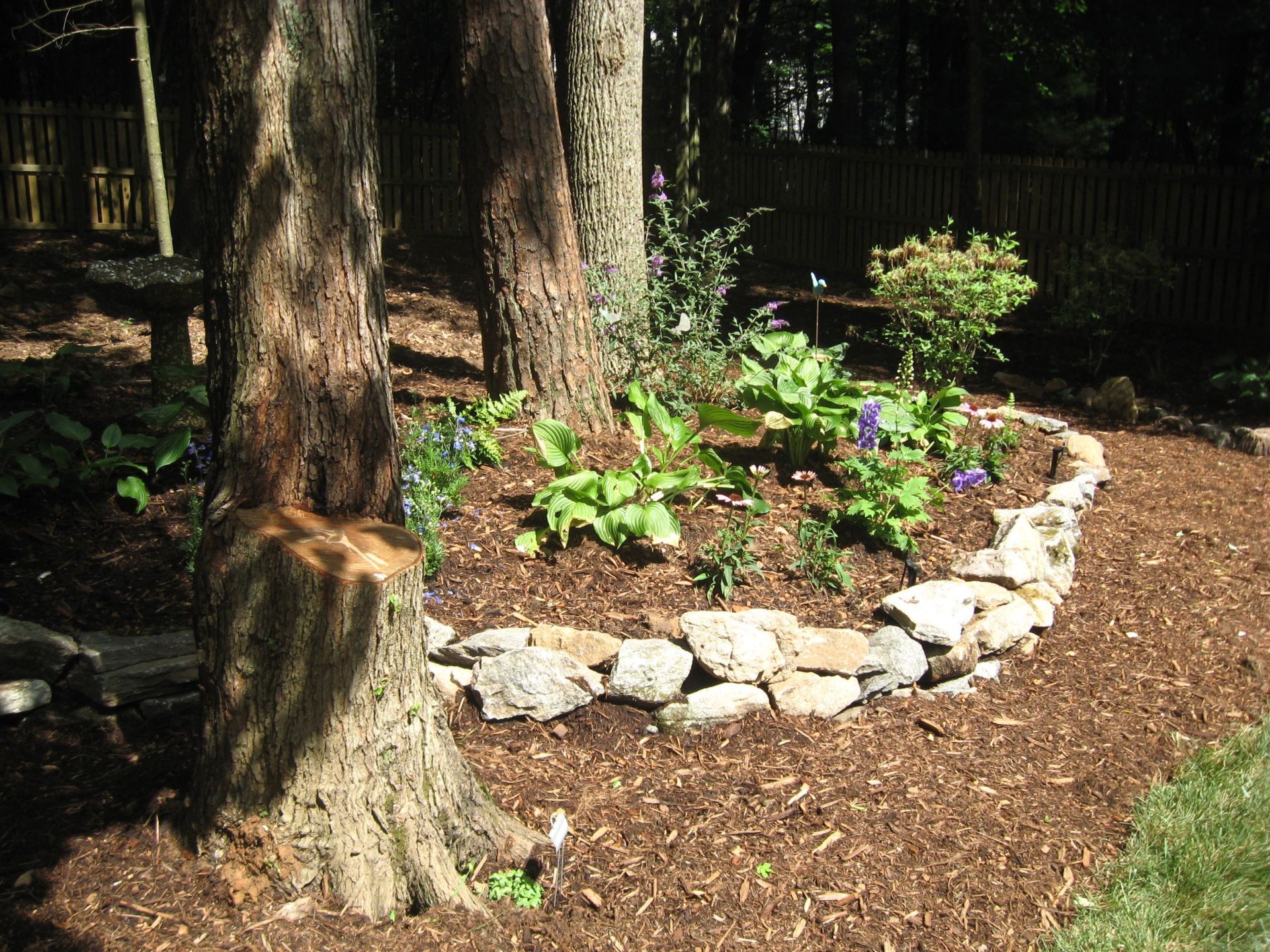 Landscape Services, Asheville, Landscape Design, Landscape Contractors