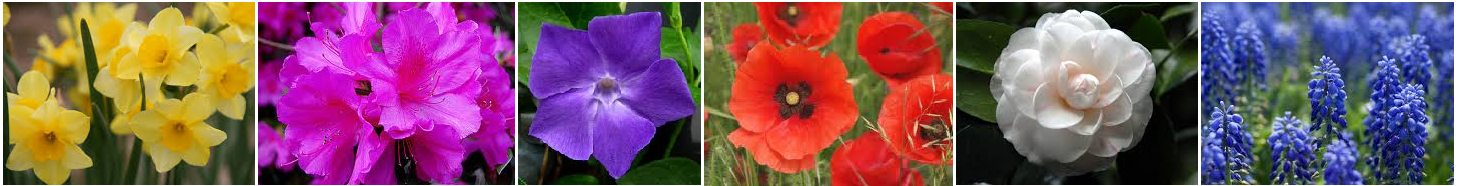 Asheville Landscape Design, Landscape Services