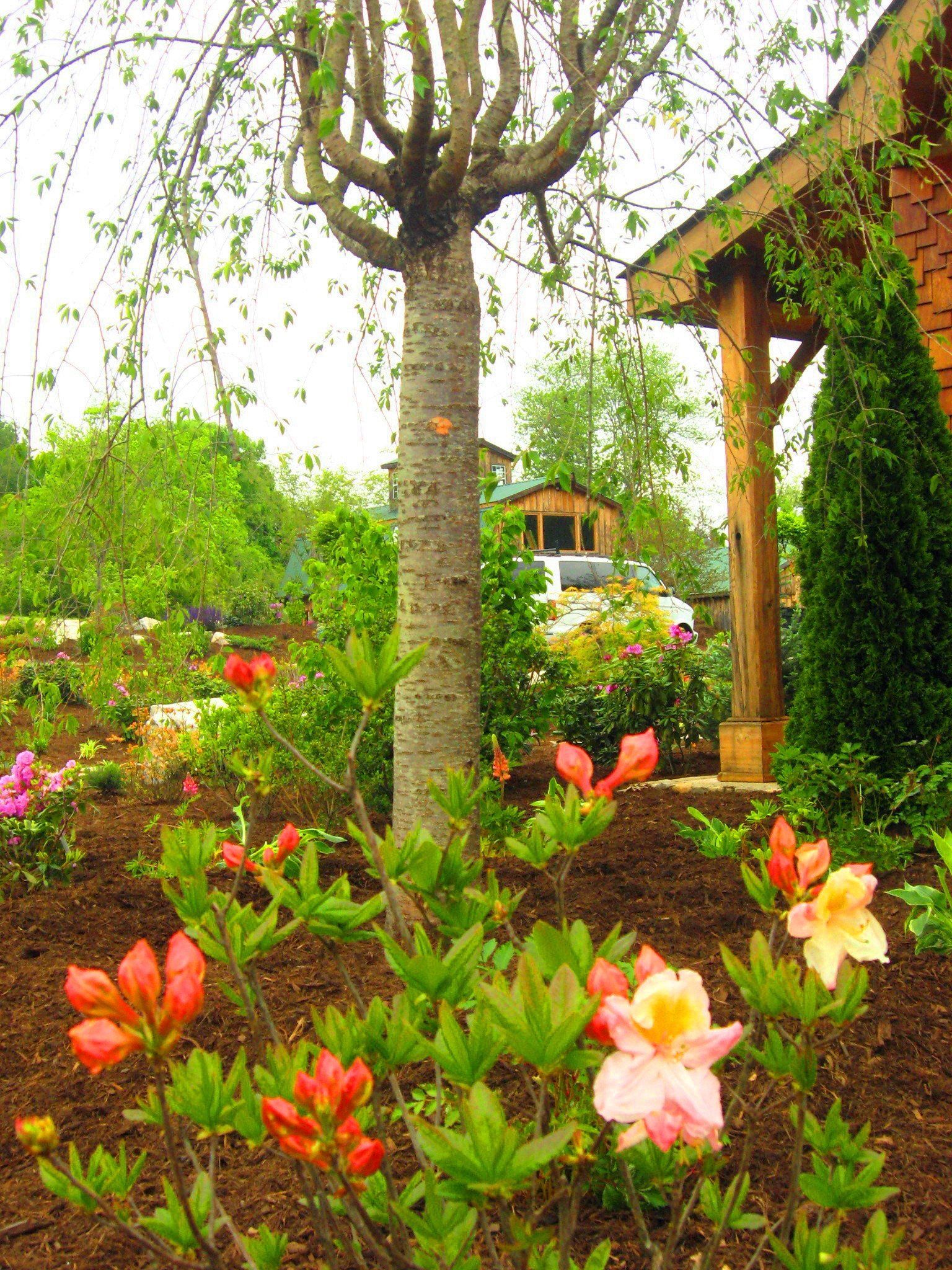 Landscaping contractors Asheville, Professional services, Landscape Design