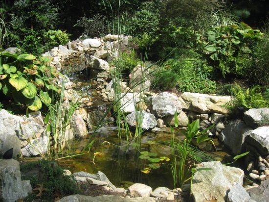 Professional Landscaping Contractors, Landscape Services Asheville, Ponds, Water Features