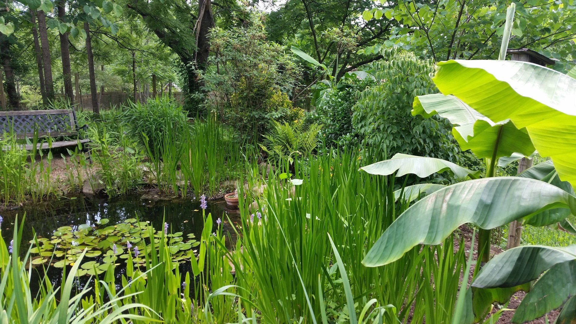 Free Landscaping Consultation Asheville