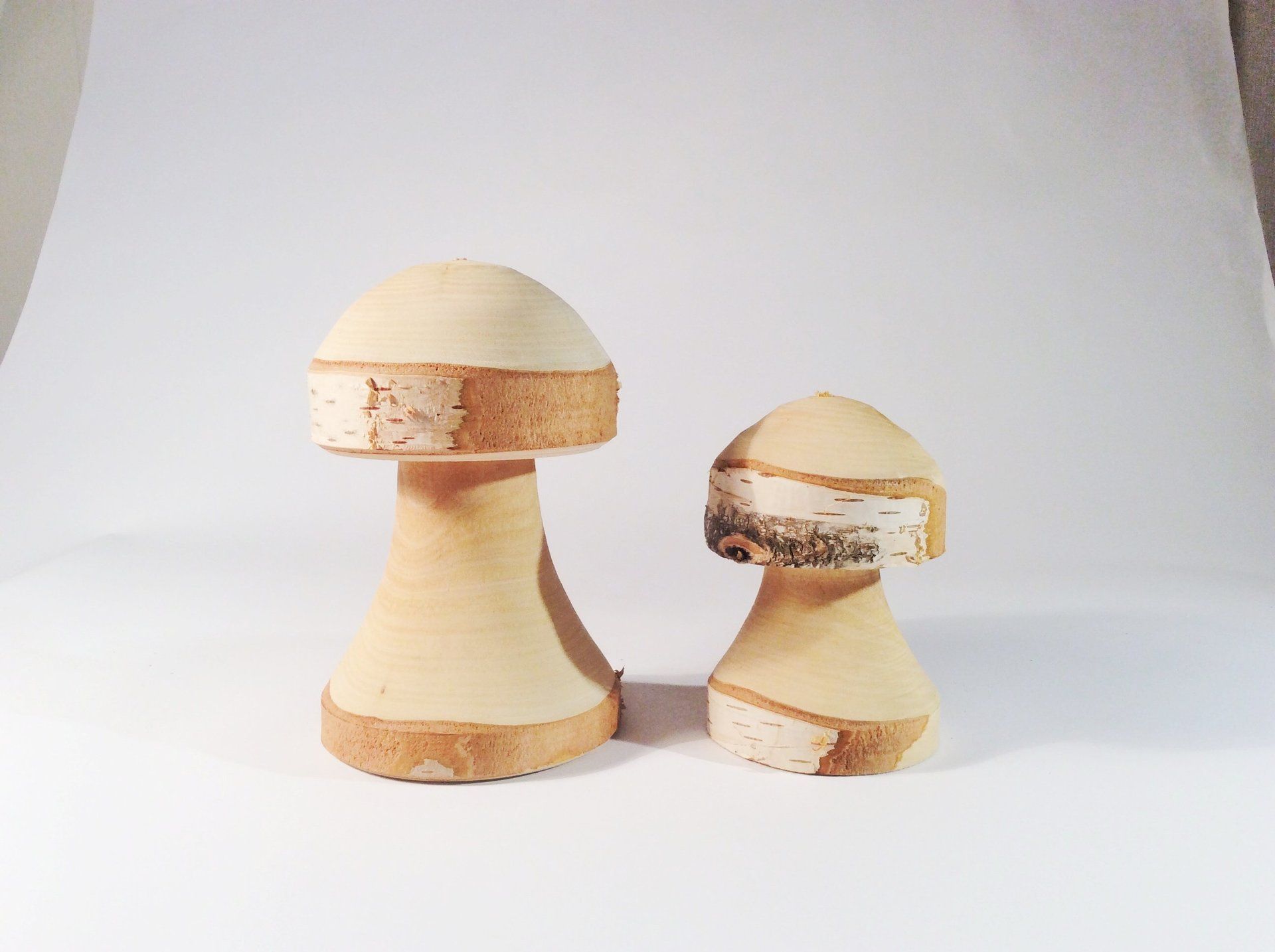 Zwei Holzpilze Herbstdeko Birkenholz
