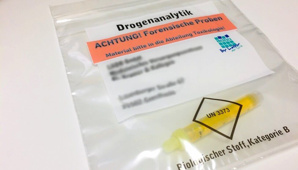 Feedback Zentrum für Seelische Gesundheit Chemnitz Foto Patientenbefragung