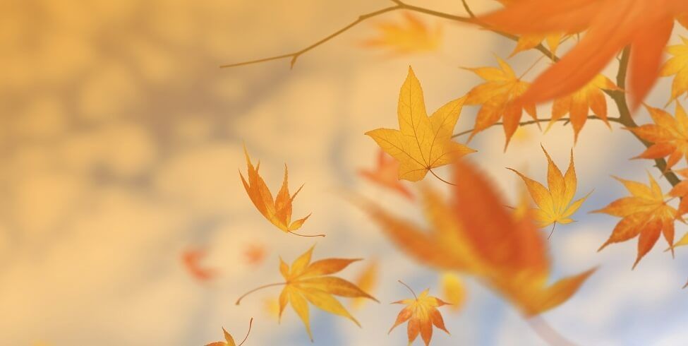 Abstinenzkontrollprogramm zur MPU