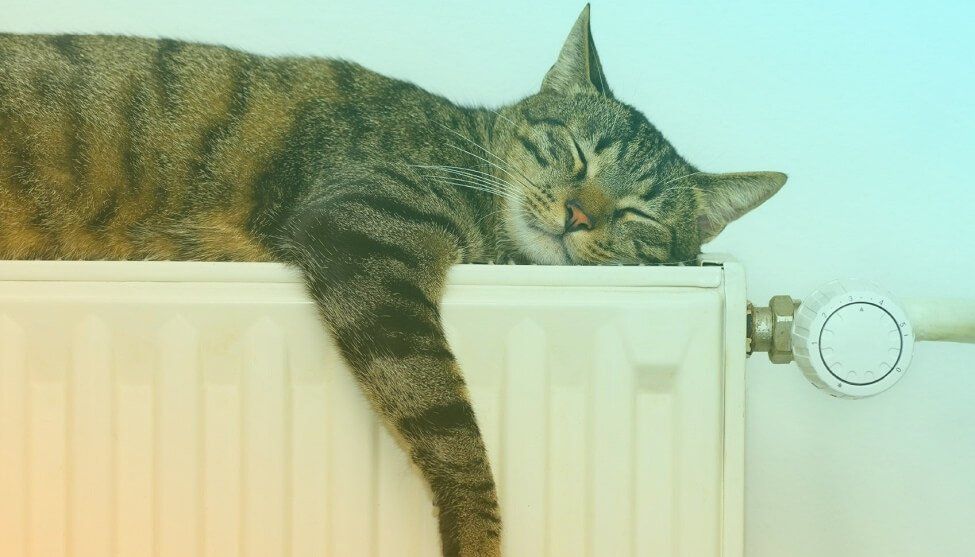 Tag der Entspannung Tag der Entspannung