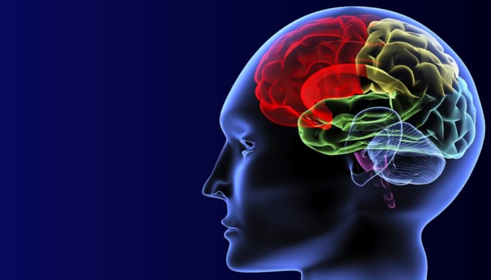 Depression Screening Days 2019 Depression Screening Days 2019