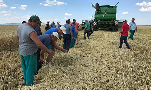 Photo of a combine harvester training of drivers, mechanic, investor, and landowner in a cereal field checking grain losses advised by a farm machinery manager in Romania in Eastern Europe