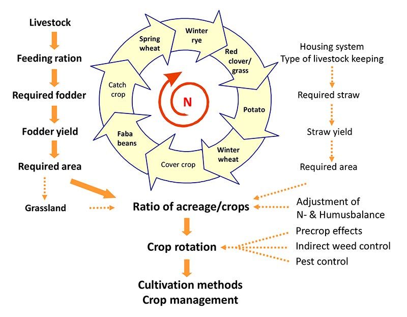 Figure of a model to analyze and plan the crop rotation of an organic livestock farm by international agricultural consultant
