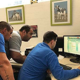 Herdenmanager, Betriebsleiter, Tierarzt und Berater prüfen Daten der Milchkuhherde am PC einer SCR-Software für Herdenmanagement eines Milchviehbetriebes in Italien