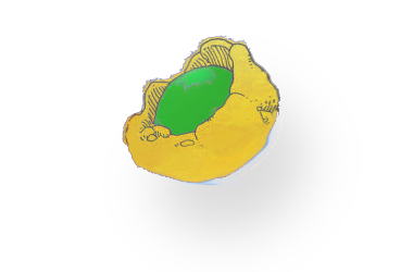 Versandkosten etc.