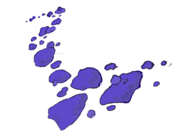 Sieht blau aus • Neuigkeiten und Notizen