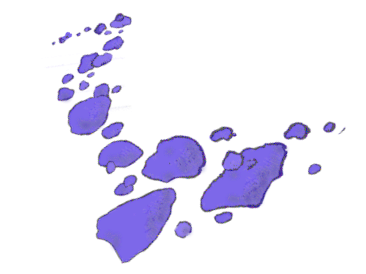 Sieht blau aus • Der blaufarn-Blog