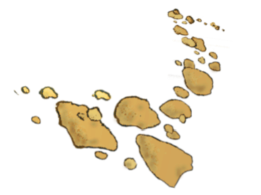 zurück zur Übersicht