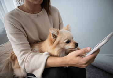 woman holding dog while on cell phone