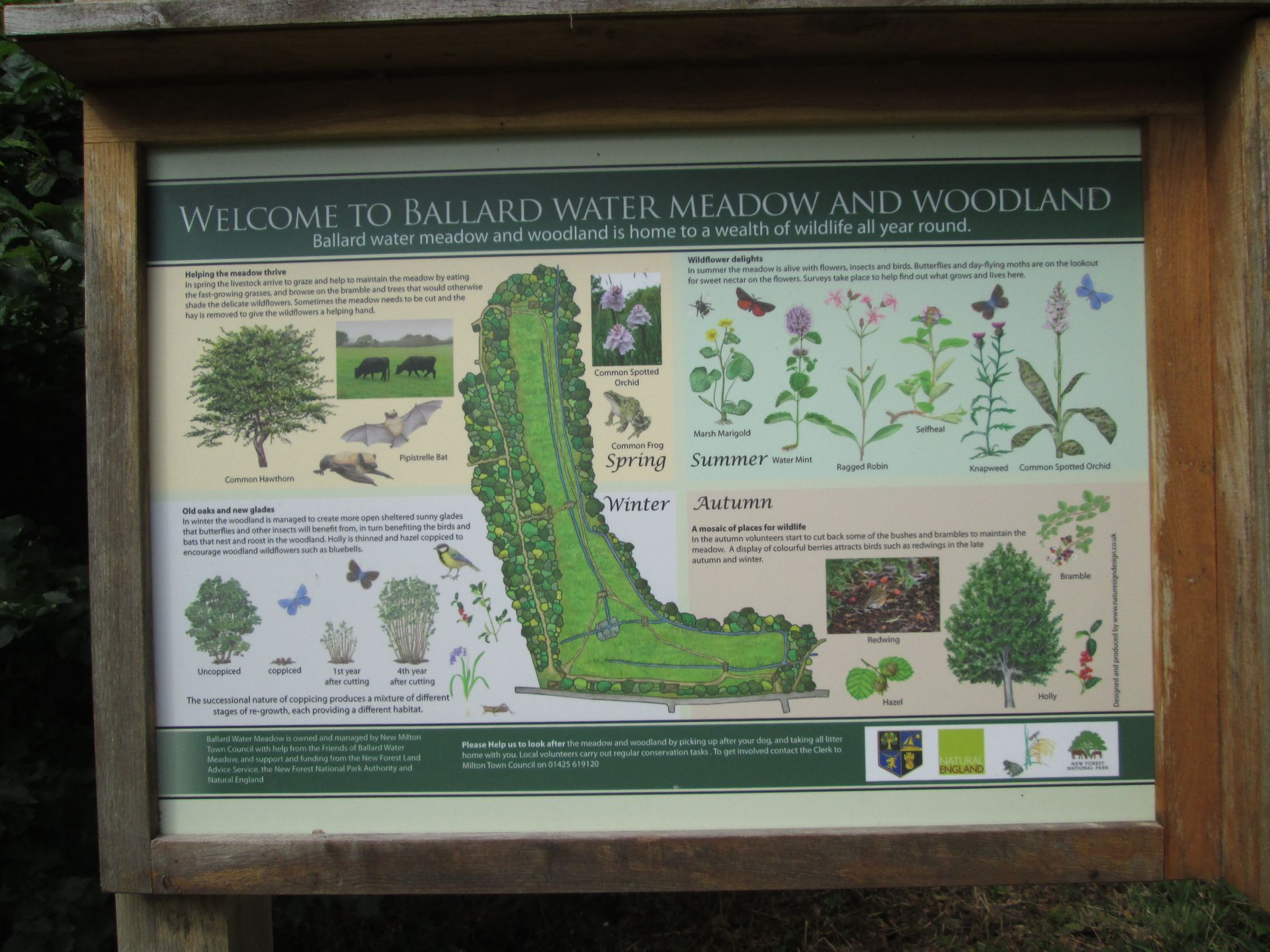 Map of Ballard Water Meadow at entrance to the meadow.