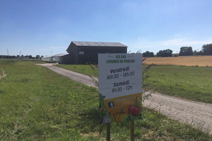 Les bio légumes de Pauline