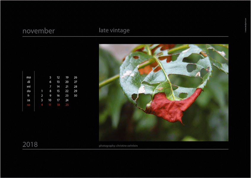 Kalenderblatt aus dem Bildkalender