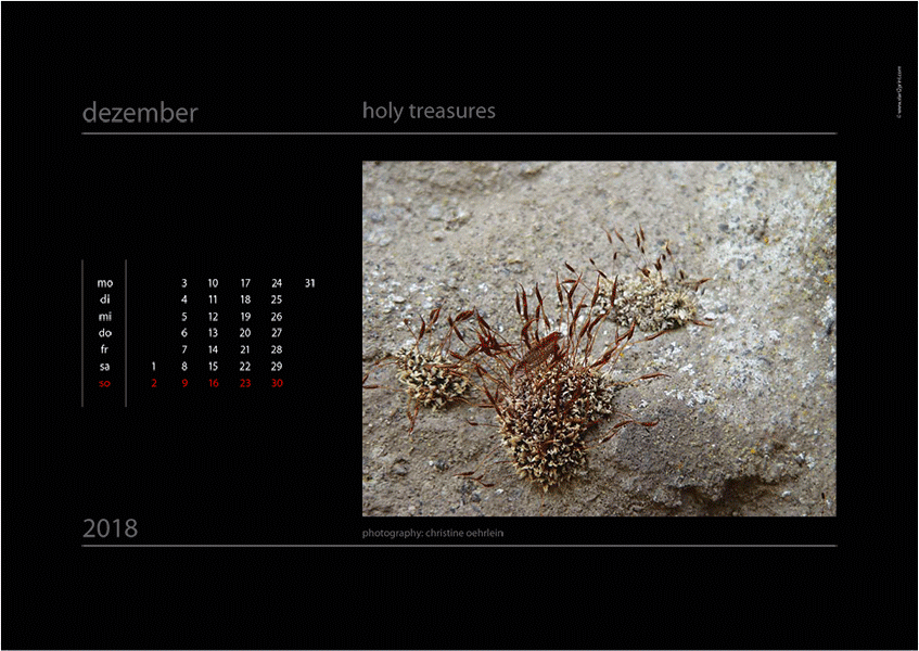 Kalenderblatt aus dem Bildkalender