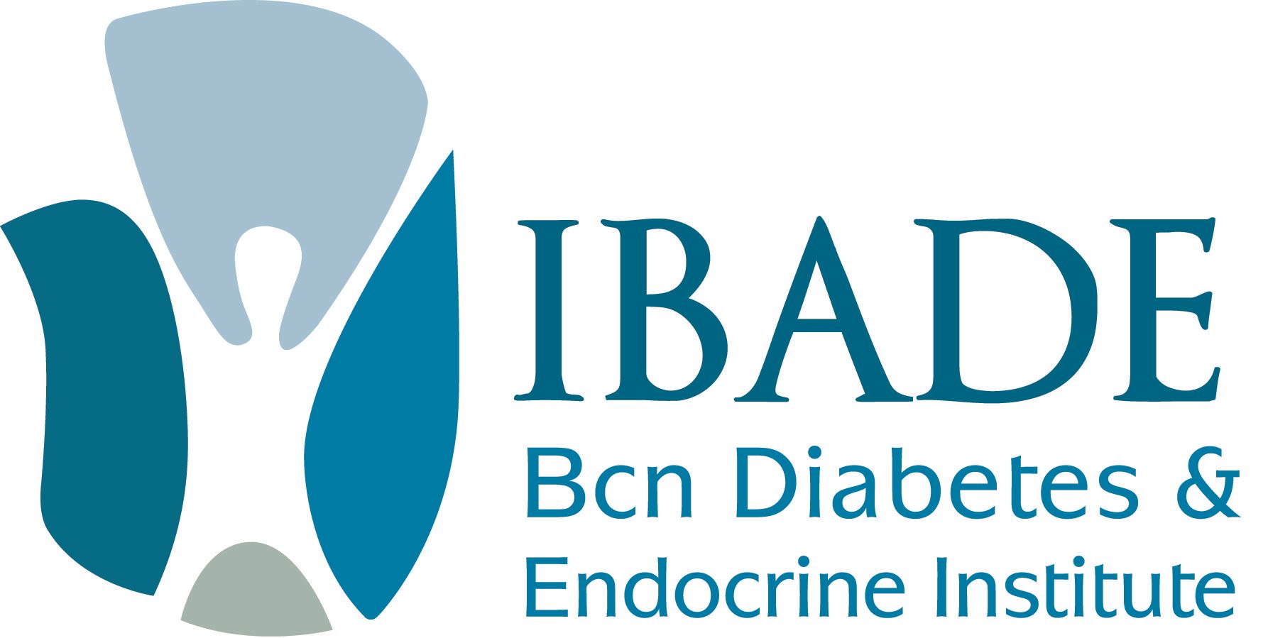 IBADE-Logo