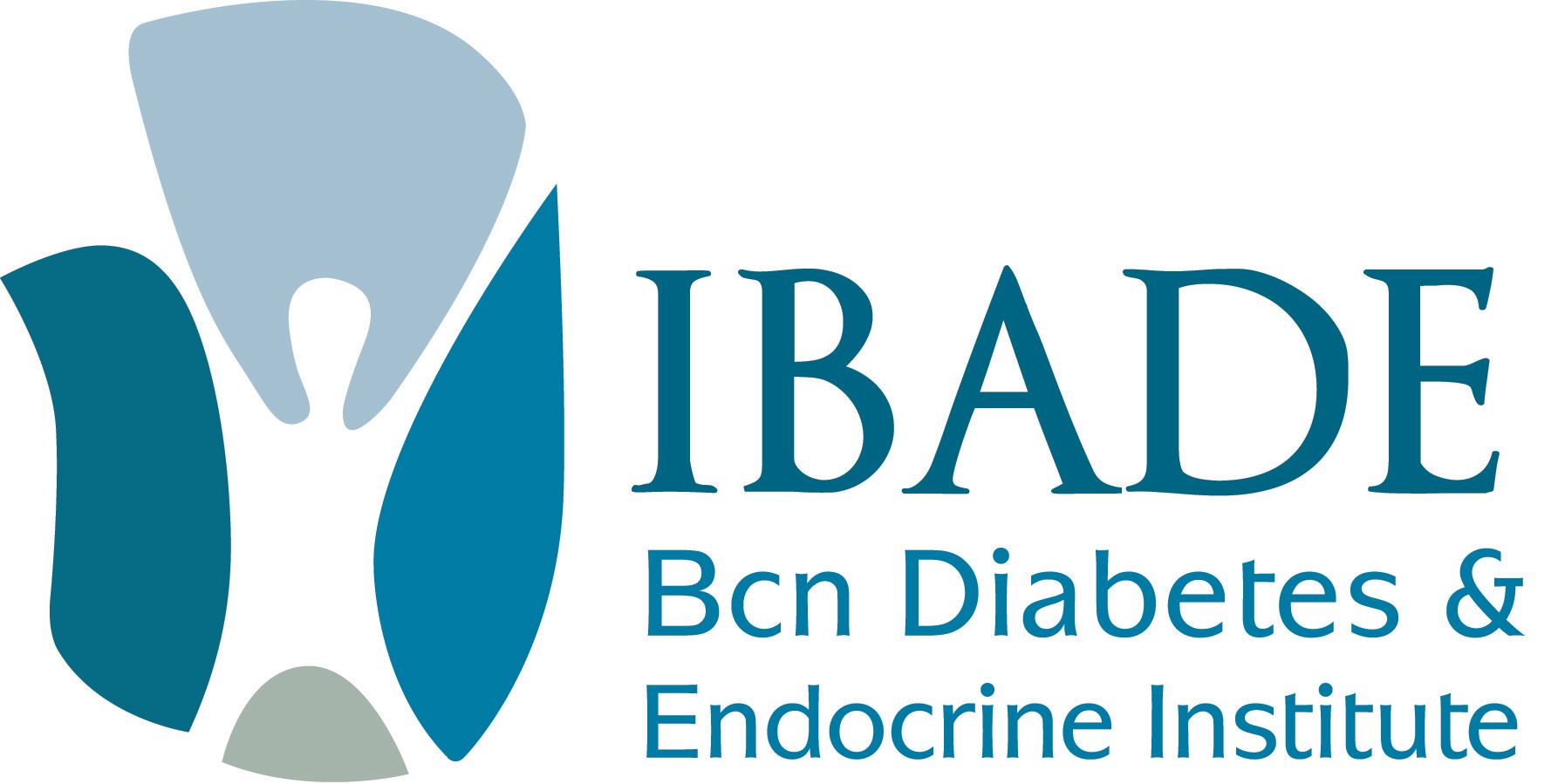 IBADE-Logo IBADE-Logo