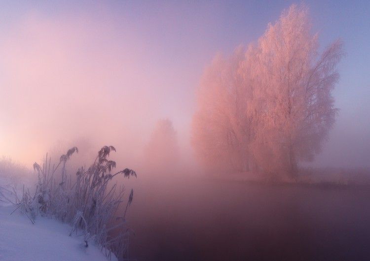 Nutrition holistique/intégrative