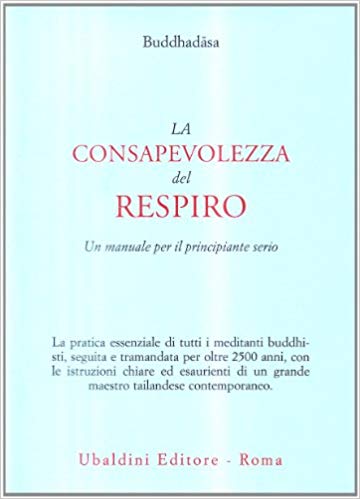 Buddhadasa, Mindfulness