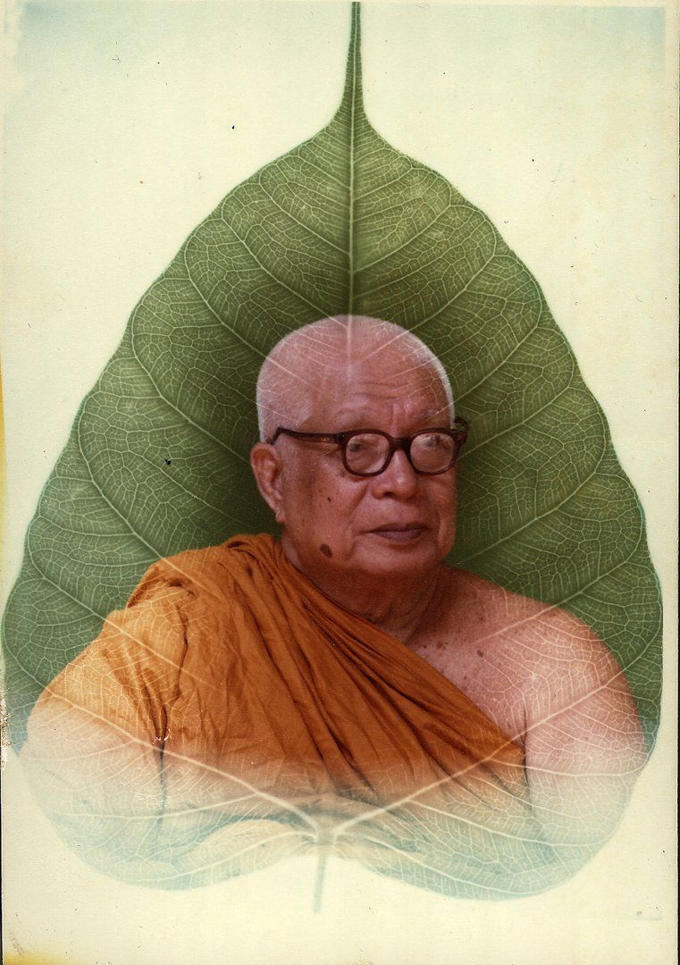 Buddhadasa (foglia)