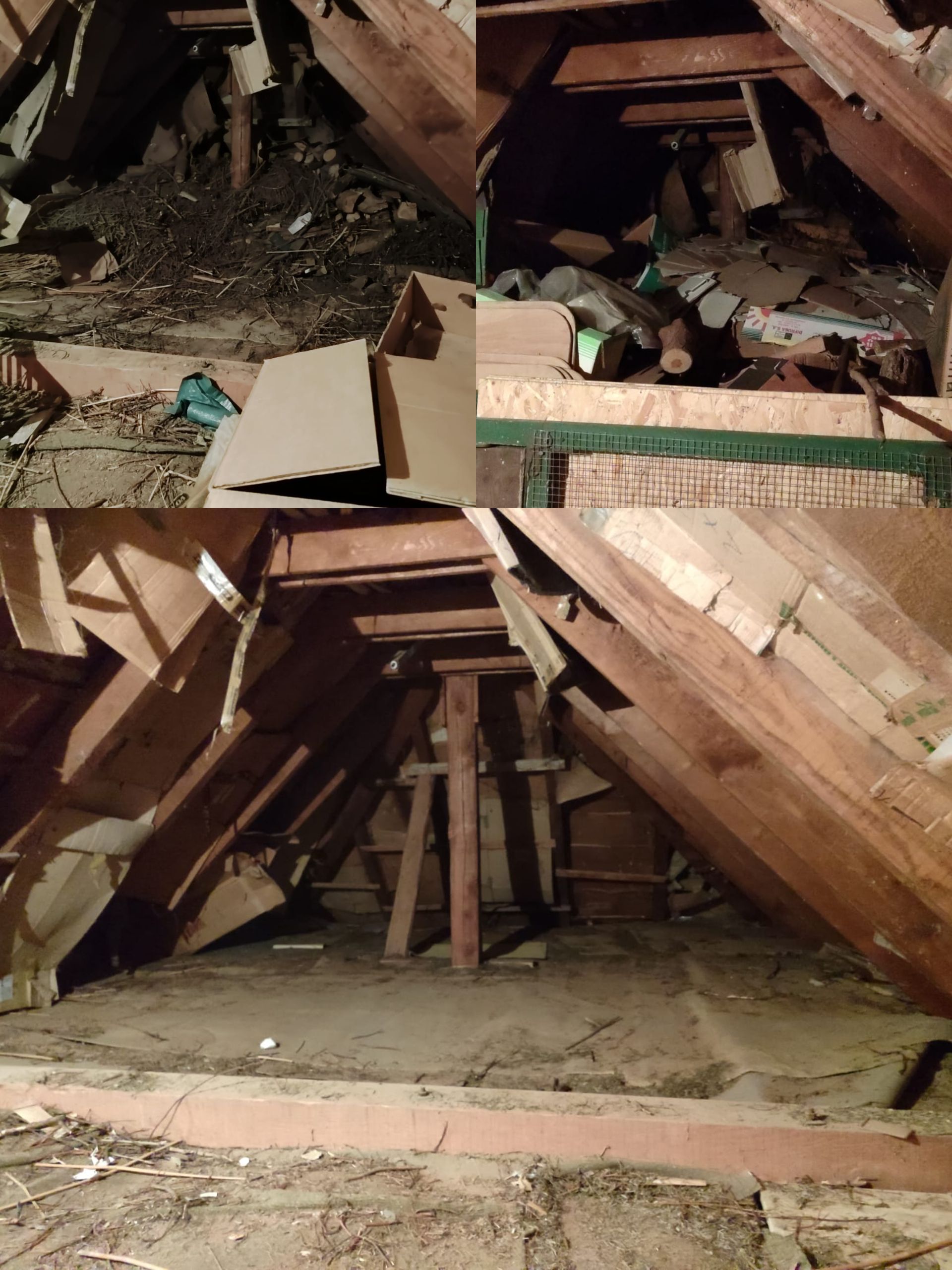 Dachbodenentrümpelung in Minden – vorher und nach der Entrümpelung