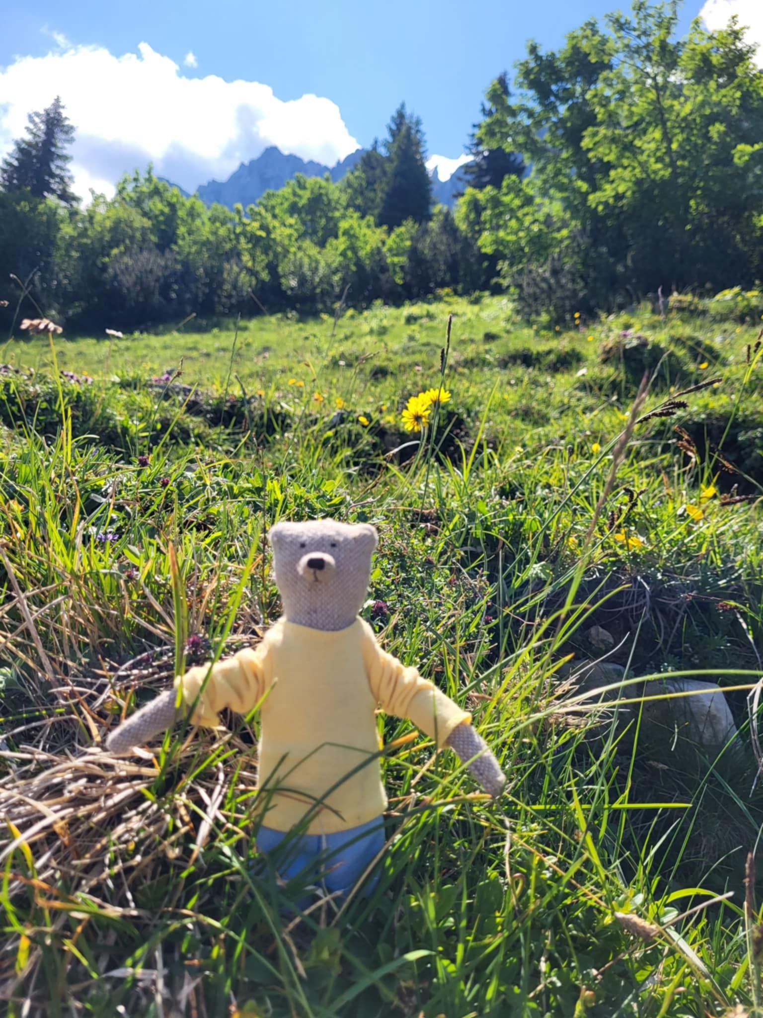 Hellbrauner Teddybär mit gelbem Pullover und blauer Hose ist nahe der Mörslarnalm bei der Kampenwand in Aschau verloren gegangen.