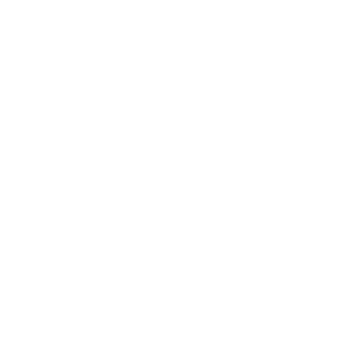 phoneicon