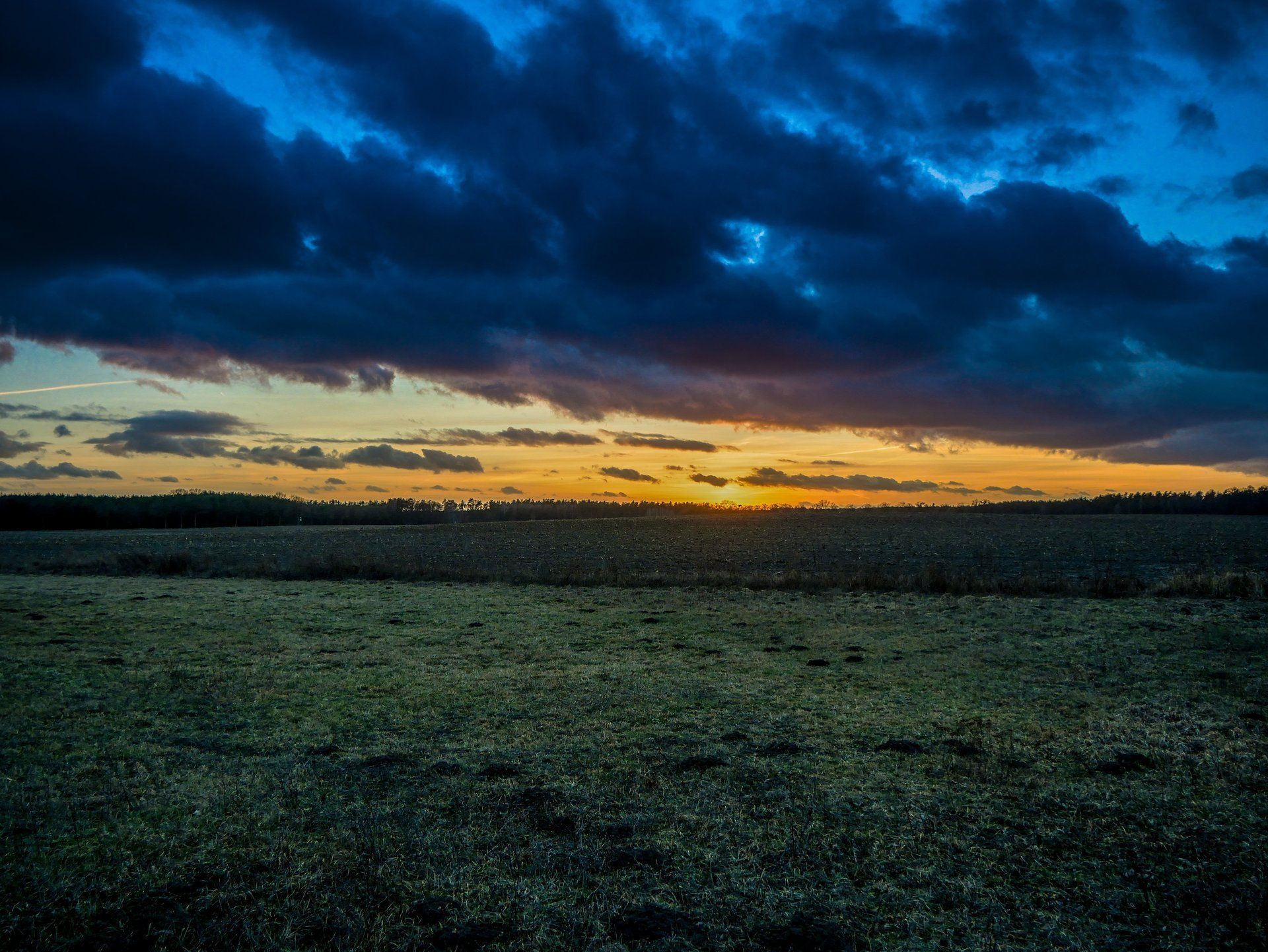 Feld