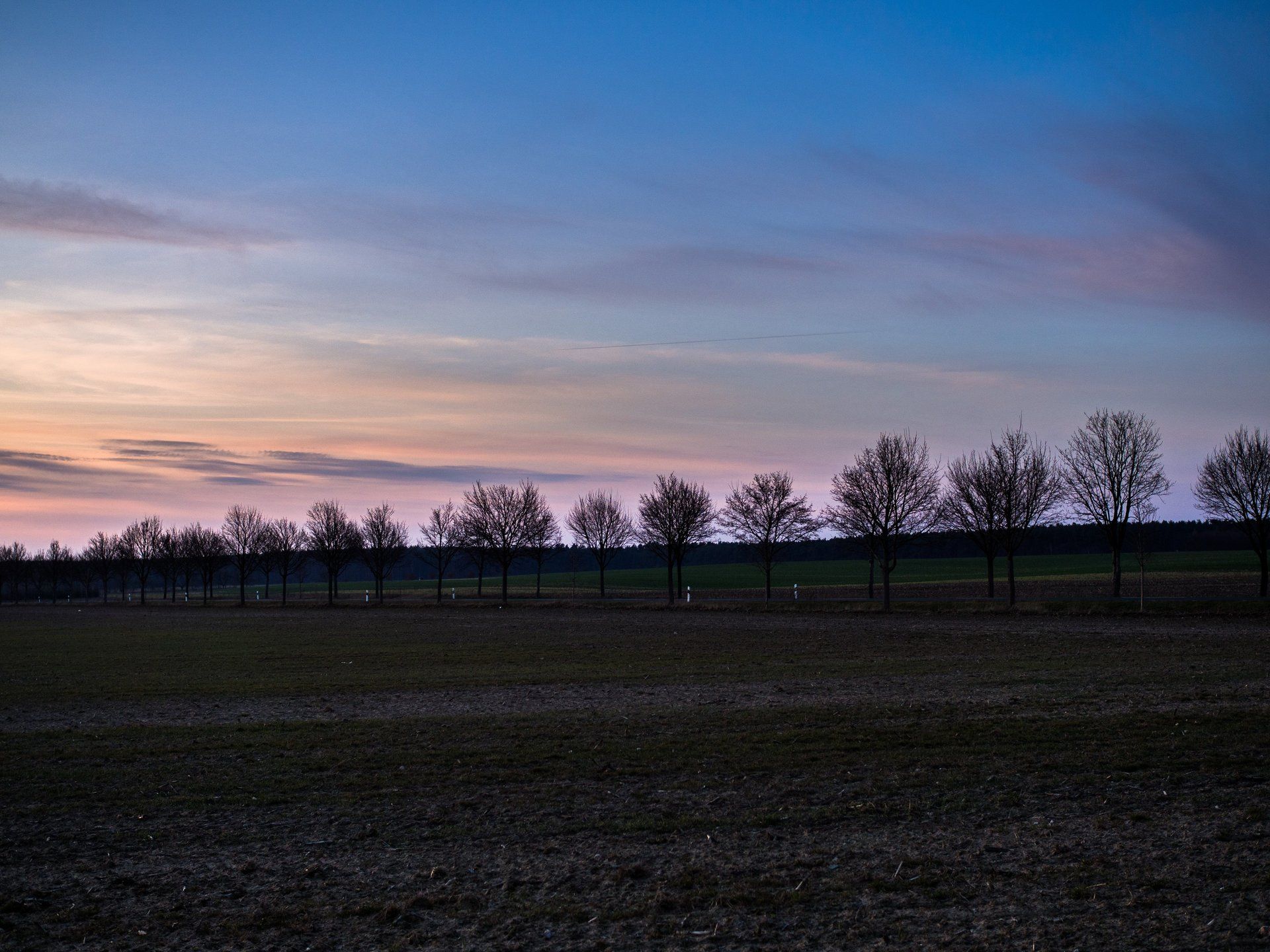 Feld