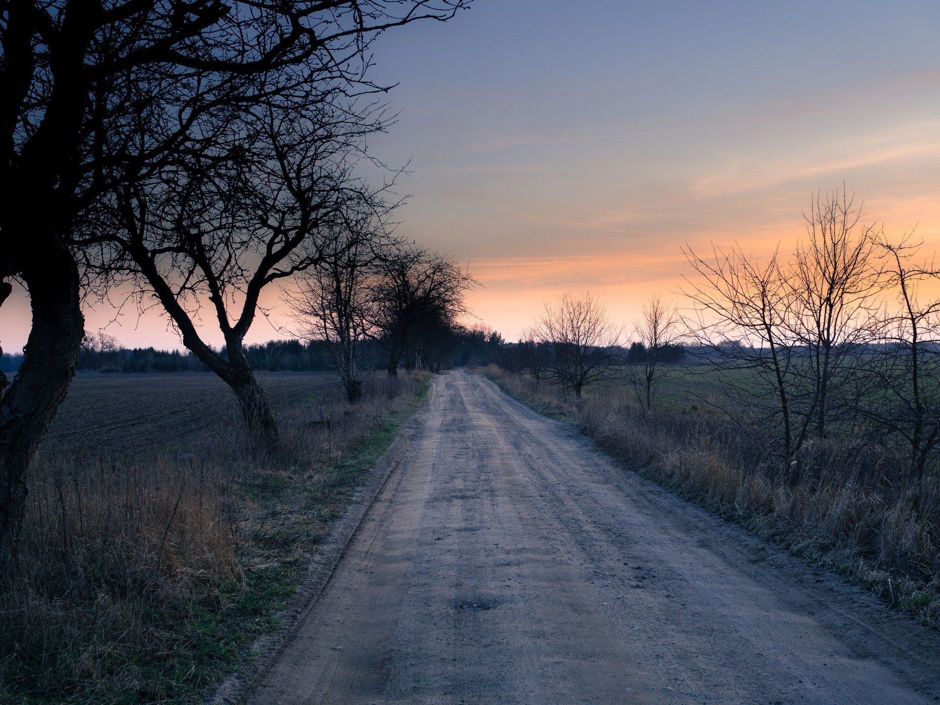 Feld mit Feldweg