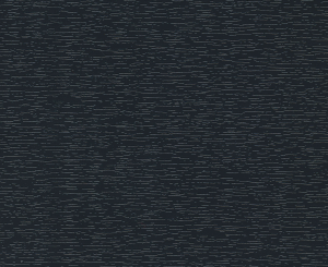 Antracita (55) Antracita (55)