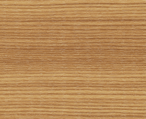 Bergkiefer (50) Bergkiefer (50)